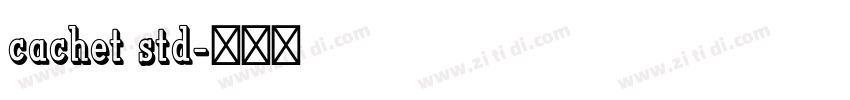cachet std字体转换